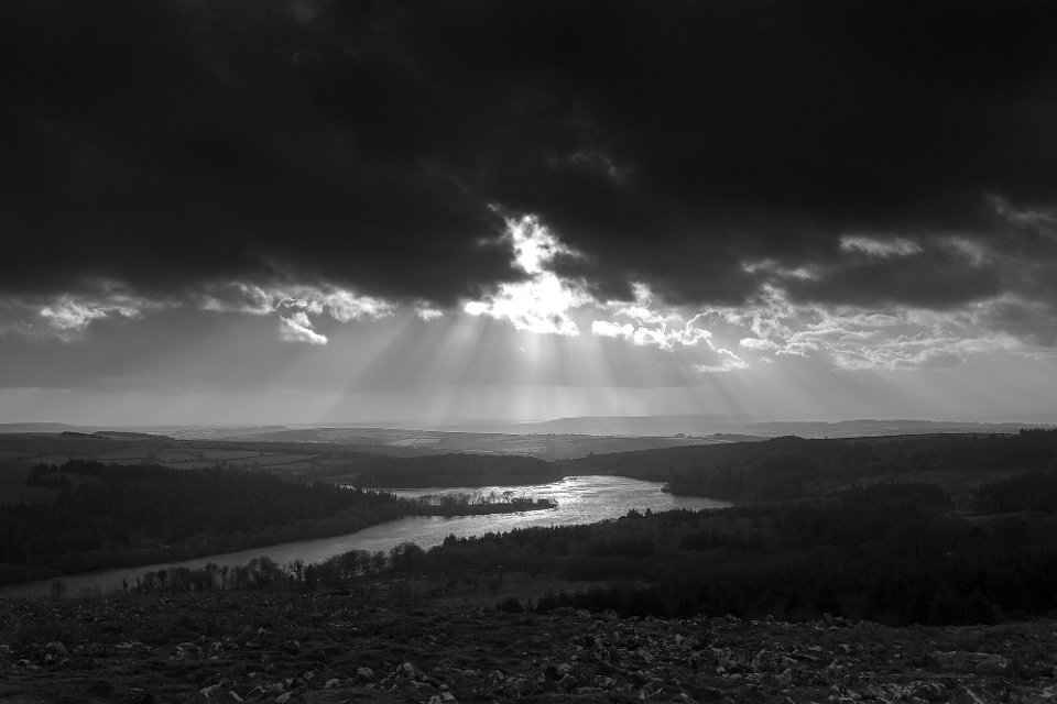 burrator bw